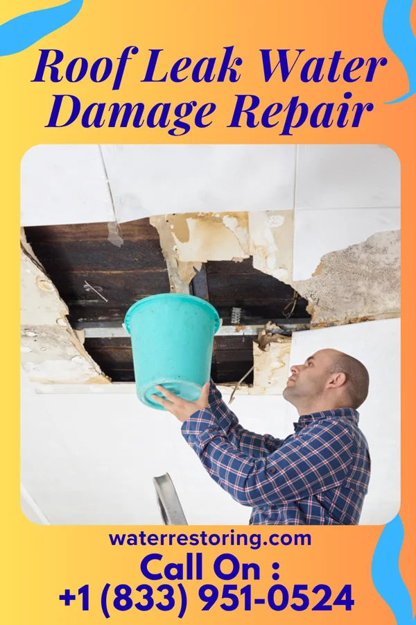 Roof Leak Water Damage Repair in Caney Ridge, OK